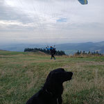 "Was hier alles rum fliegt"