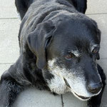 Fanny, stolze 15 Jahre