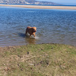 Cora am Mittelmeer
