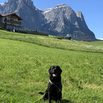Moritz