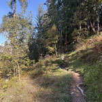 Weiter ging es durch den Wald