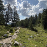 Danach weiter über einen Wanderweg, welcher zwei Mal die Forststraße quert...