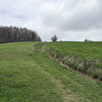 Zunächst folgte ich dem Verlauf des Josefweges über die Wiese aufwärts