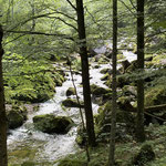 Dieser zeigt sich während der Wanderung zum Einen in Form von tosenden Wasserfällen, zum Anderen als sanfter Waldbach