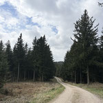 Im Hintergrund war der letzte Gipfelaufschwung bereits zu sehen - dort oben befindet sich die Richtberg Taferl Kapelle