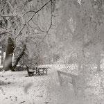 Während feine Eiskristalle von den Bäumen regneten, erreichten wir den "Platz der Geborgenheit", den Gipfel des Häfelberges