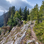 Nach einem ausgiebigen Fotoshooting am Gipfel ging es an den Rückweg zur Brandangeralm, wo wir eine gemütliche Pause bei der schönen Almhütte machen würden