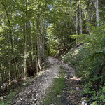 Über Waldpfade, Karrenwege und Forststraßen ging es zunächst durch den Wald aufwärts