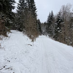 ... entlang der Forststraße ...
