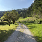Dem Verlauf der Mountainbikestrecke folgten wir nun ohne nennenswerte Anstiege von Hinterstoder nach Mitterstoder