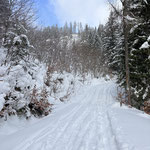 ... und für uns ging es in traumhafter Winterlandschaft weiter