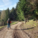 Kurz wechselten einander der Waldpfad und eine Forststraße ab