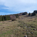 Über einen gut erkennbaren Pfad stiegen wir auf - zunächst über die Wiese, dann wieder ein Stück weit durch den Wald