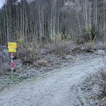 Bei etwa -3° ging unsere heutige Tour in Gosau los - zunächst folgten wir der Markierung in Richtung der Klettersteige und des Berg-Seen-Trails