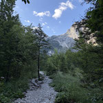 ... ging es in Form eines schottrigen Waldweges weiter