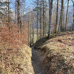 Entlang dieses Weges führte nun der letzte Teil des Weges ins Tal