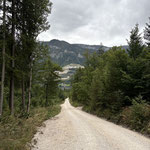 Dieser geradlinige Verlauf der Forststraße führte nun nach Gößl - noch zuvor zweigte ein Karrenweg nach links ab