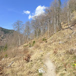 Am Nordufer des Sees angekommen folgte ich dem Weg noch ein Stück weit Richtung Grünau...