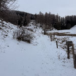 Bei der Schafferreith angekommen folgten wir nicht dem markierten Weg Richtung Bärenalm, sondern wanderten östlich an der Alm vorbei...