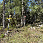 Bei dieser markierten Gabelung verließen wir die Piste und wanderten weiter durch den Wald