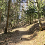 Dessen Anstieg folgten wir durch den Wald