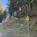 Wir folgten der Forststraße bis zu dieser markierten Weggabelung