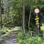 Gleich nachdem wir das buddhistische Zentrum passiert hatten, querten wir eine Forststraße und folgten der Beschilderung in den Wald