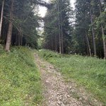 Nachdem der Aufstieg über die Wiese ganz schön heiß war, waren wir froh, wieder in den wohltuenden Schatten des Waldes zu kommen