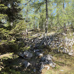 Zunächst galt es im Wald noch den einen oder anderen Baumbruch zu überwinden