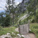 Wir verließen die Alm,...