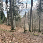 Beim Abstieg hielten wir uns gegenüber der Aufstiegsroute ein Stück weiter links und folgten einem unmarkierten Pfad, um direkt zur Grimminghütte zu gelangen