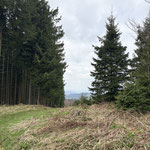 Ob es sich wirklich lohnt ist die Frage - der höchste Punkt liegt direkt neben dem Weg und kann weder mit einer Gipfelmarkierung noch mit einer schönen Aussicht aufwarten