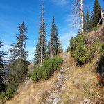 Rückblick auf eine der "Treppen" des Grazer Steiges
