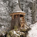 Nach etwas über 50 Minuten Gehzeit passierten wir dieses Marterl, das sich unterhalb der Oberwiesalm befindet, die sich mit den beiden bewirtschafteten Hütten Döllererhütte und Lanznhütte zwischen Faistenauer Schafberg und Loibersbacher Höhe befindet