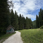 Das letzte Stück des Weges folgten wir der Forststraße über Almwiesen und durch den Wald