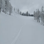 Eine einzige Spur vor uns im Schnee - was will man mehr?