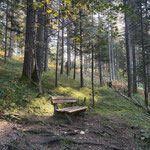 Am Wegrand passierten wir einige Holzbänke und schöne Aussichtspunkte