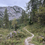 Hier verließen wir den Welser Höhenweg und stiegen in Richtung Vorderem und Hinterem Lahngangsee ab