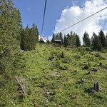 Mit dem Sessellift fuhren wir zunächst auf die Tauplitzalm,...