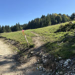 Bei dieser Gabelung könnte man geradeaus über die Forststraße gehen, oder nach rechts einen Wiesen- und Waldweg nehmen - ich würde über letztere Variante aufsteigen, und über die Forststraße retour kommen