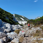 ....und genossen die herrliche Landschaft am Plateau des Höllengebirges