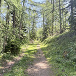 Kurz ging es aufwärts, bis wir auf eine Forststraße trafen, die entlang der Skipiste Richtung Hirschkogel Bergstation und weiter zum Spiegelsee führt. Entlang dieser ging es talwärts