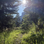 Gemütlich ansteigend geht es durch den Wald