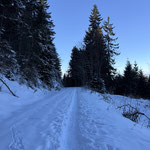 Weiter ging es entlang einer gut ausgetretenen Spur über die Forststraße