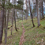 Gipfelsturm zum Zehnerkogel