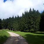  Wegverlauf auf der Forststraße durch den Wald