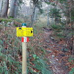 Zwei Mal gibt es die Möglichkeit, zwischen der flacheren und längeren Forststraße, oder dem kürzeren und steileren Waldpfad zu wählen - für uns ging es über den Waldpfad