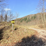 Wir waren etwa 10 Minuten unterwegs, als wir eine Forststraße erreichten