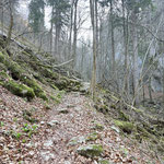 Wirklich schön ist es hier zu gehen - nie allzu steil in einer abwechslungsreichen Mischung von Felsen und Waldboden