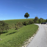 Die ersten paar Meter ging es gemütlich entlang der Asphaltstraße